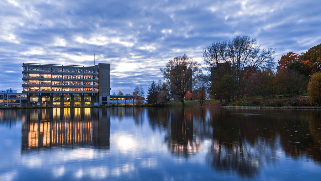 Dusk view of a lit up campus building beside silhouettes of trees